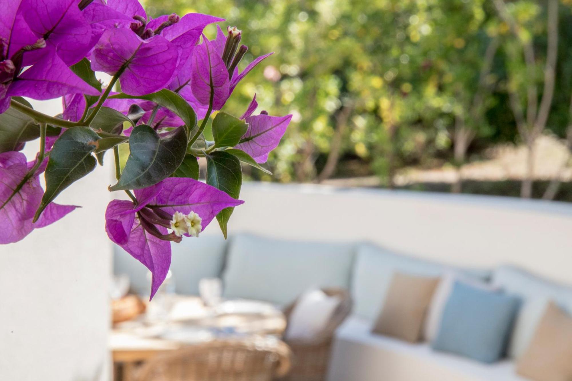Boutique Hotel Chateau Rouher Propriano  Zewnętrze zdjęcie